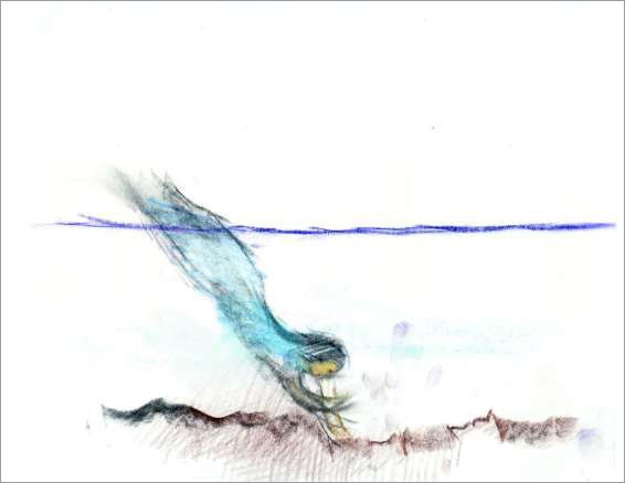 Wellen - Wind - Wesen